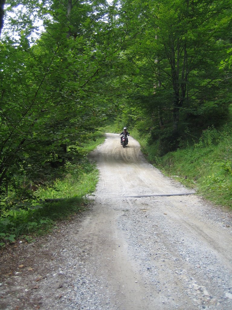 Gemeinde Brandenberg, Austria by ericpano