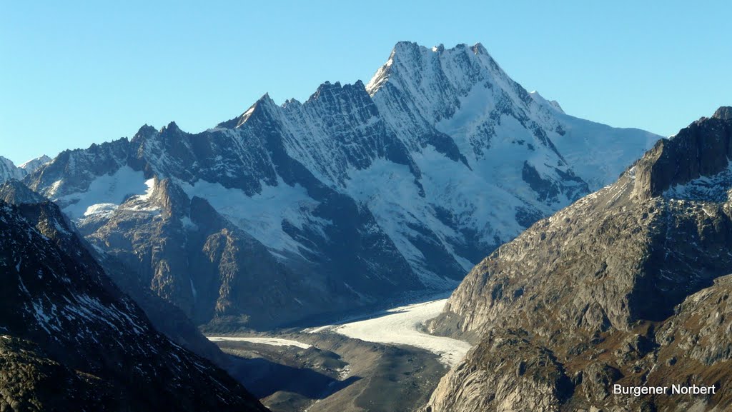 Lauteraar- und Schreckhorn.Zwei stolze Viertausender. by Burgener  Norbert