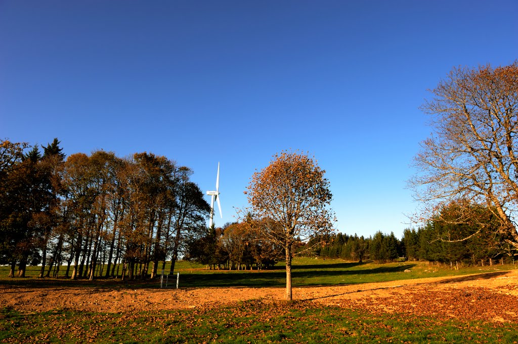 Mont Soleil im herbst by hauser63