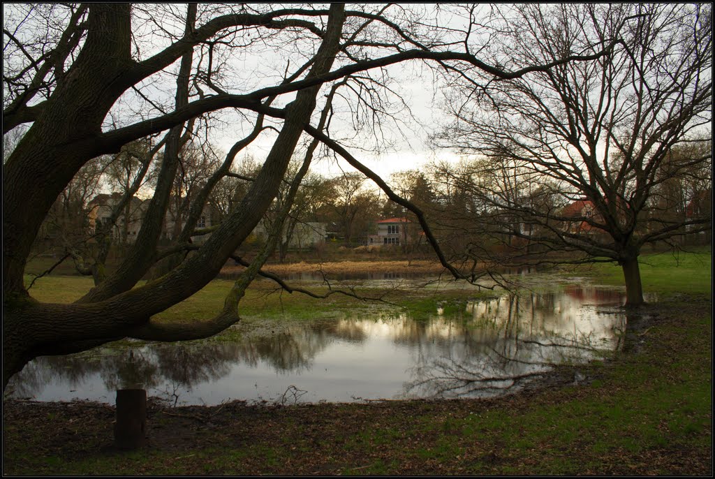 Ruhlebner Wiese überflutet durch hohes Grundwasser in Berlin Charlottenburg April 2011 by www_ruhleben_com