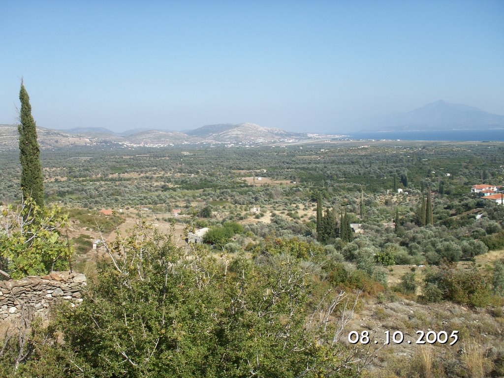 The coastal plain of Chora. View from Milli towards Chora, Pythagoreio, and Samsun Daği across the Mycale Strait. by c.s.