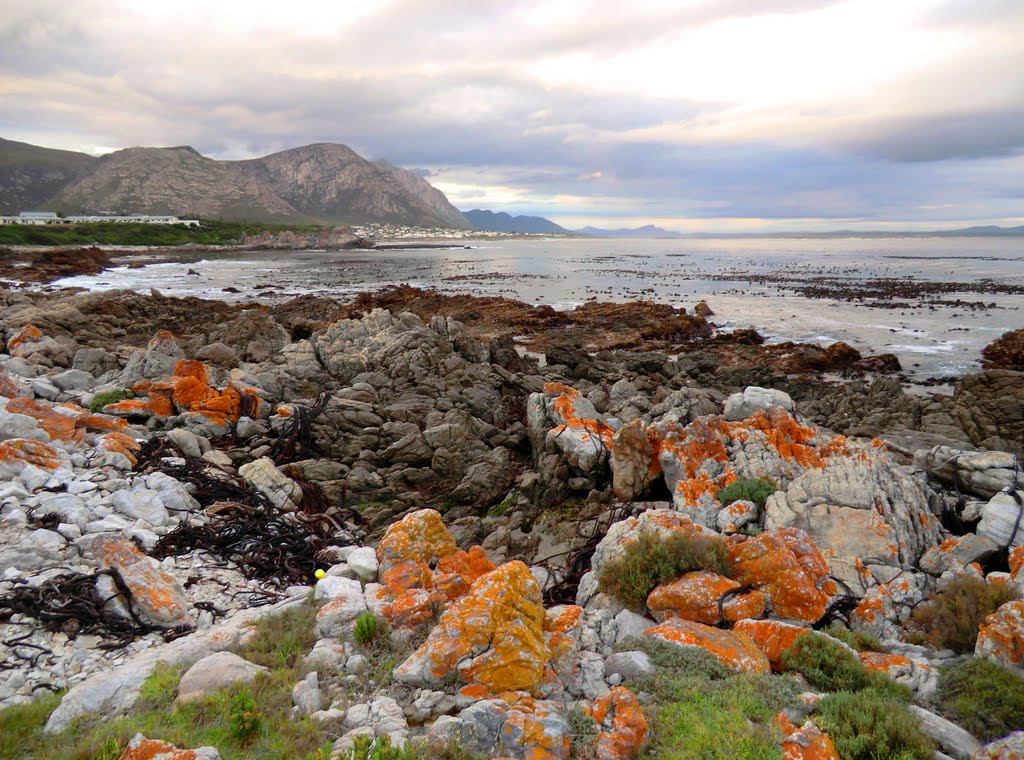 View over Walker bay from Eastcliff, Hermanus towards Stanford by costajules