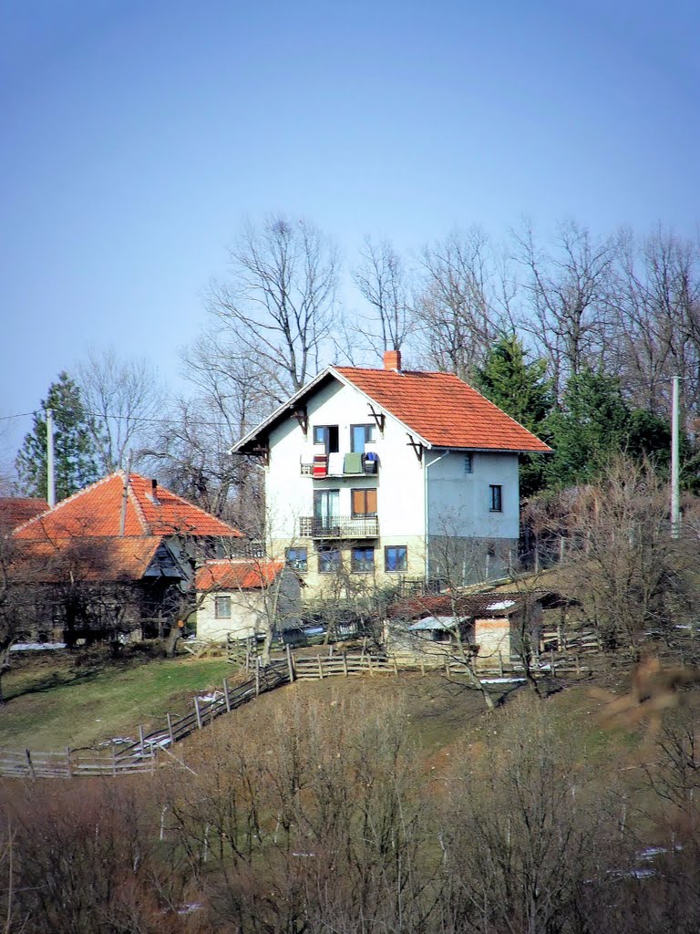 Tomić house by bobicdragan