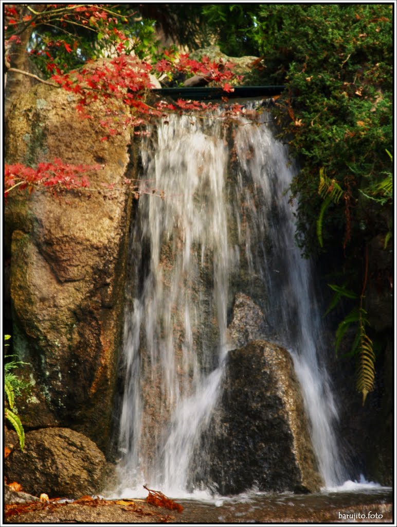 Jardín Japonés by barujito