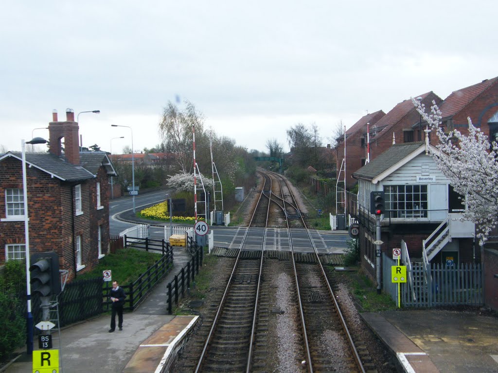 Beverley Station by William Braquemard