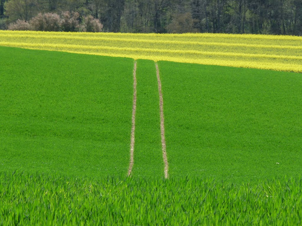 Bandes vertes et lignes jaunes by dhslt