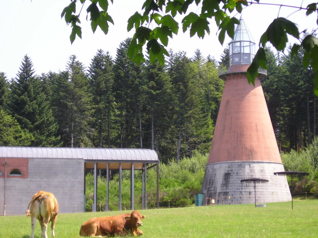 Musée d'Art Contemporain de Vassivière by Yoann DUMON