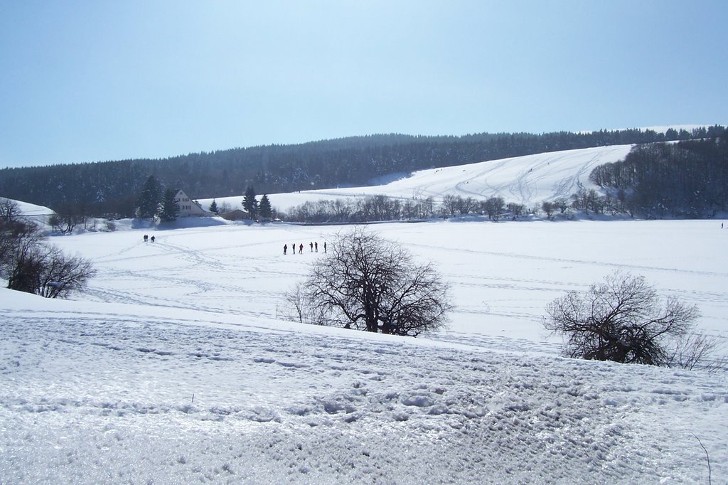 Lac de Guéry by Bernard Vasset