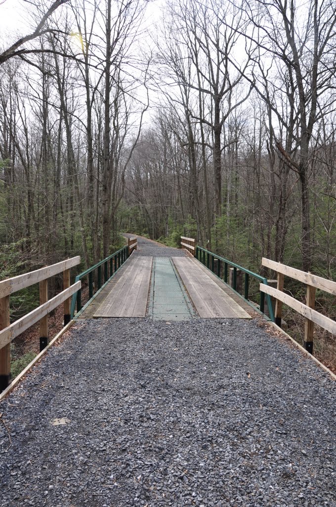 View West on the Stony Vally Rail Trail at Rausch Gap by kinzr13