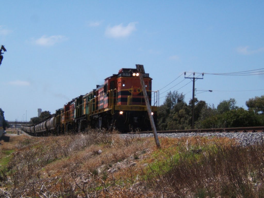 Grain Train by Glockie