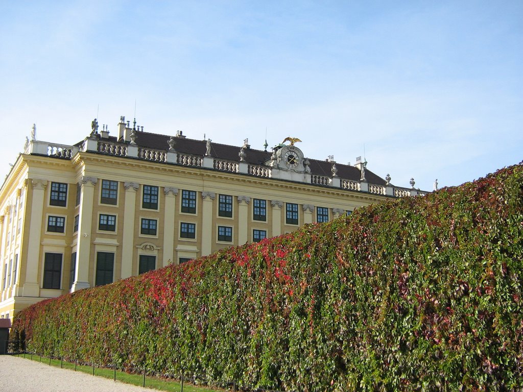 Orangerie castello di Schònbrunn by lyna lombardi