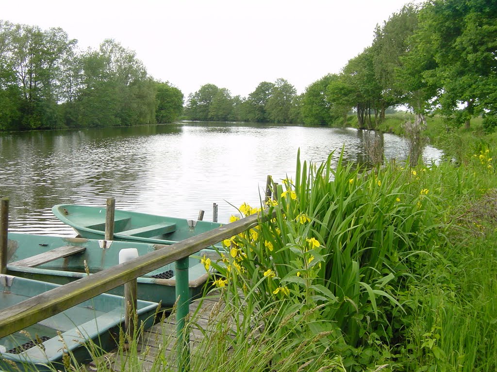 Metzensee by rickert-hamburg