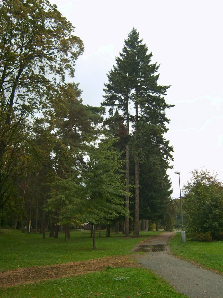 Park u Matičního jezera, Pardubice, Czech republic by moofy