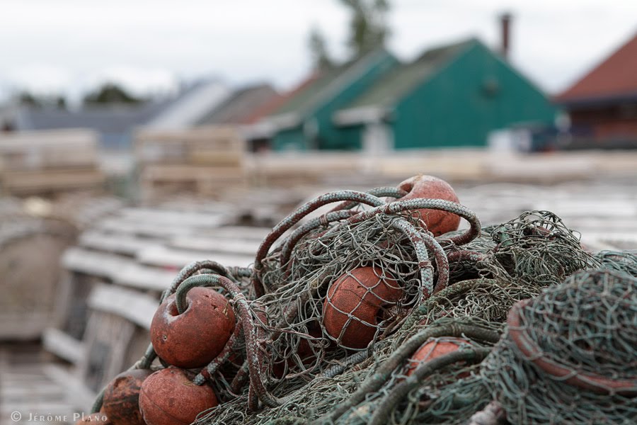 Filets et trappes à homards - jeromeplano.ca by Jerome Plano