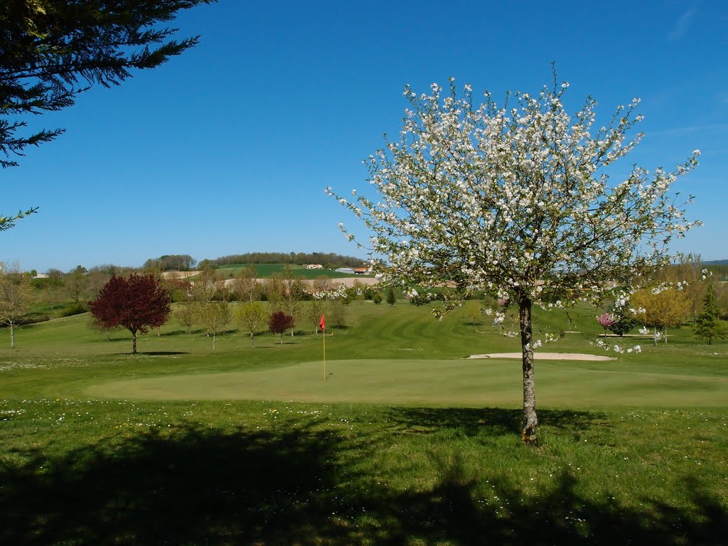 Spring at Golf d'Aubeterre - April 2011 by Mike Stuckey