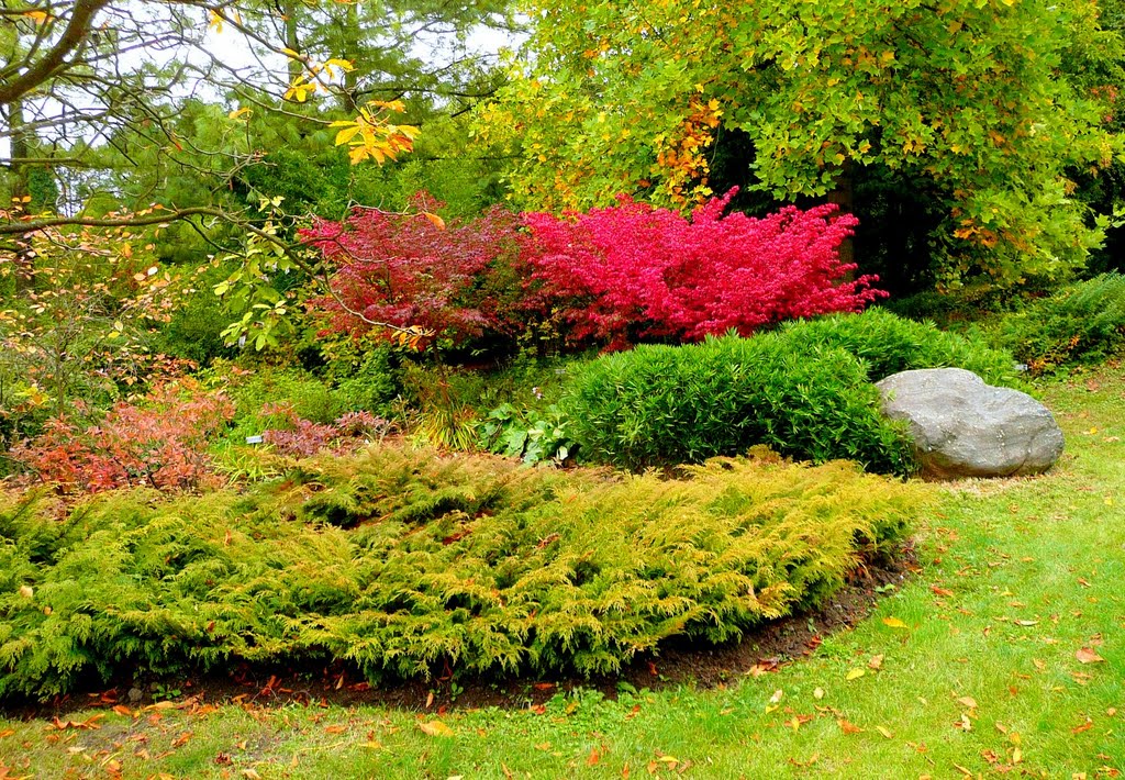 Brněnské Arboretum by Zdenek Mario