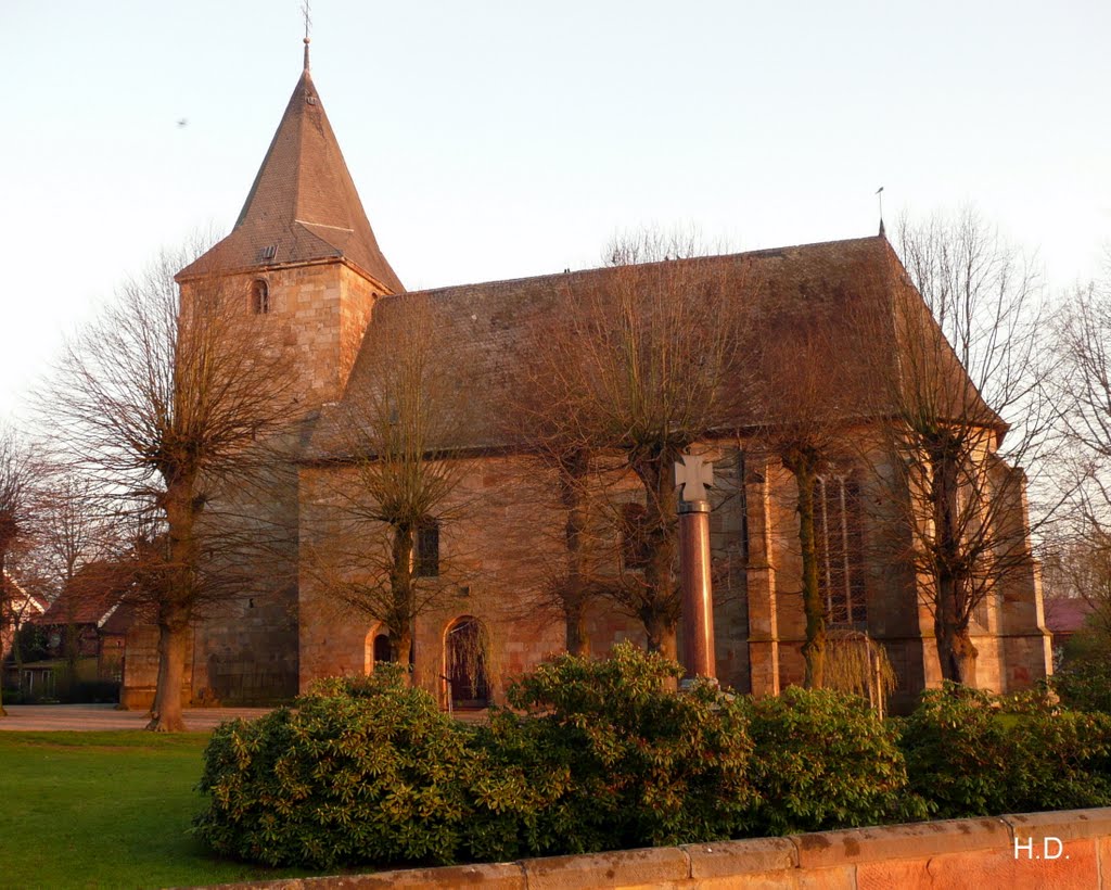 Ohne - ev.-ref. Dorfkirche im Morgenlicht (gilt als die älteste Kirche der Grafschaft Bentheim) by Heribert Duling