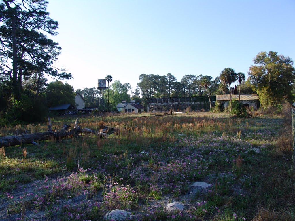 Historic Bob White citrus packing house, soon to be demolished! DeLeon Springs (3-19-2011) by Ken Badgley