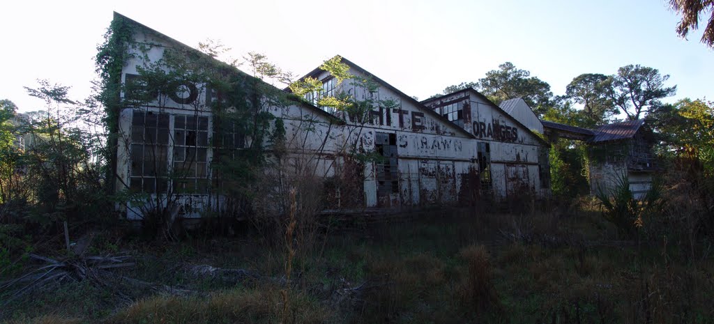 Historic Bob White citrus packing house, built in 1920s, DeLeon Springs (3-19-2011) by Ken Badgley