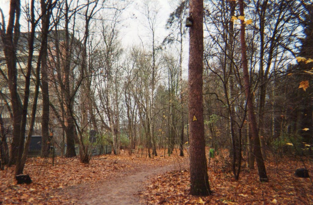 Wald am Uhlandweg im Herbst 2009 by Der Naturmensch