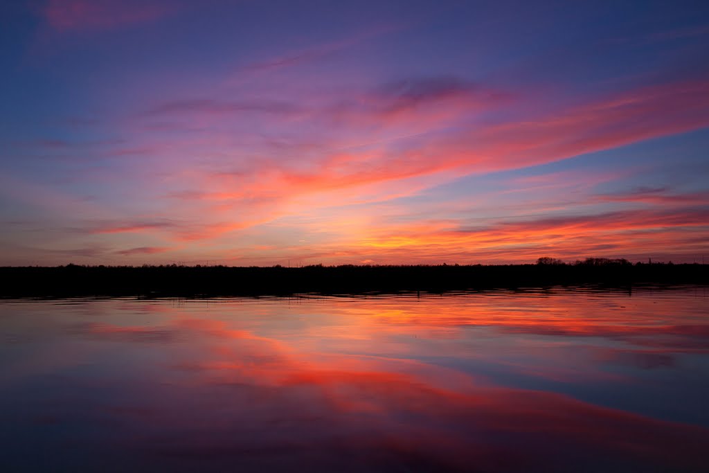 Overwhelming Colours by Erik van den Ham