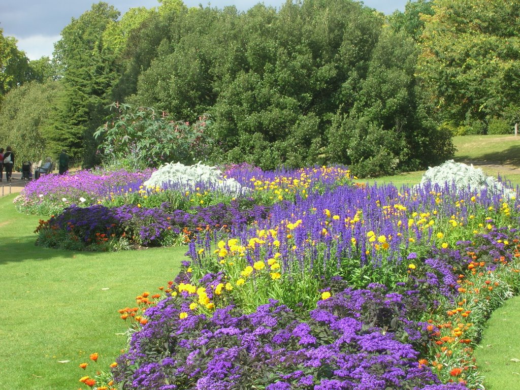 Purple Flowers in Princess Di Gardens by mrbitter