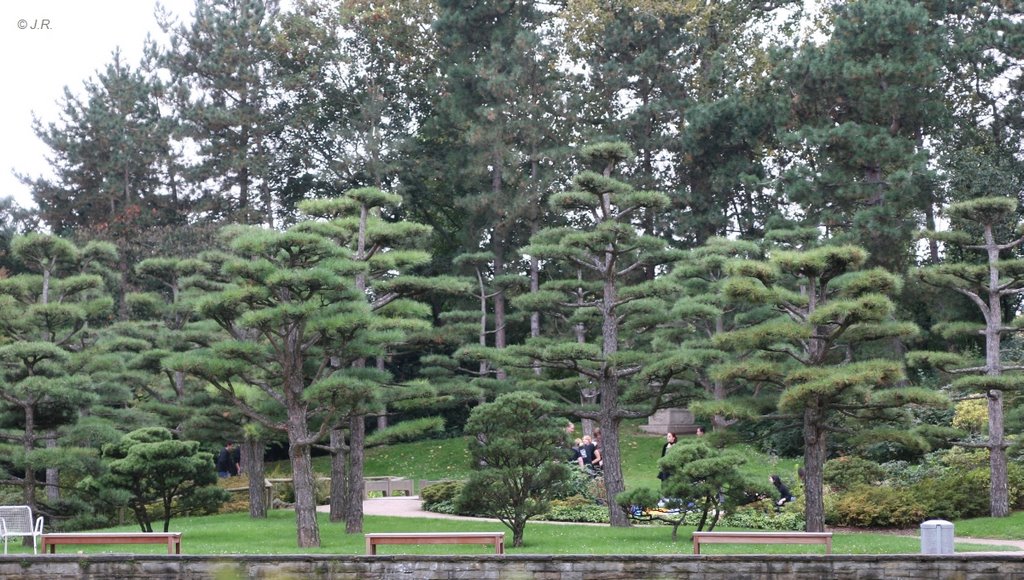 Japanischer Garten - Nordpark, Düsseldorf by Juergen Roesener