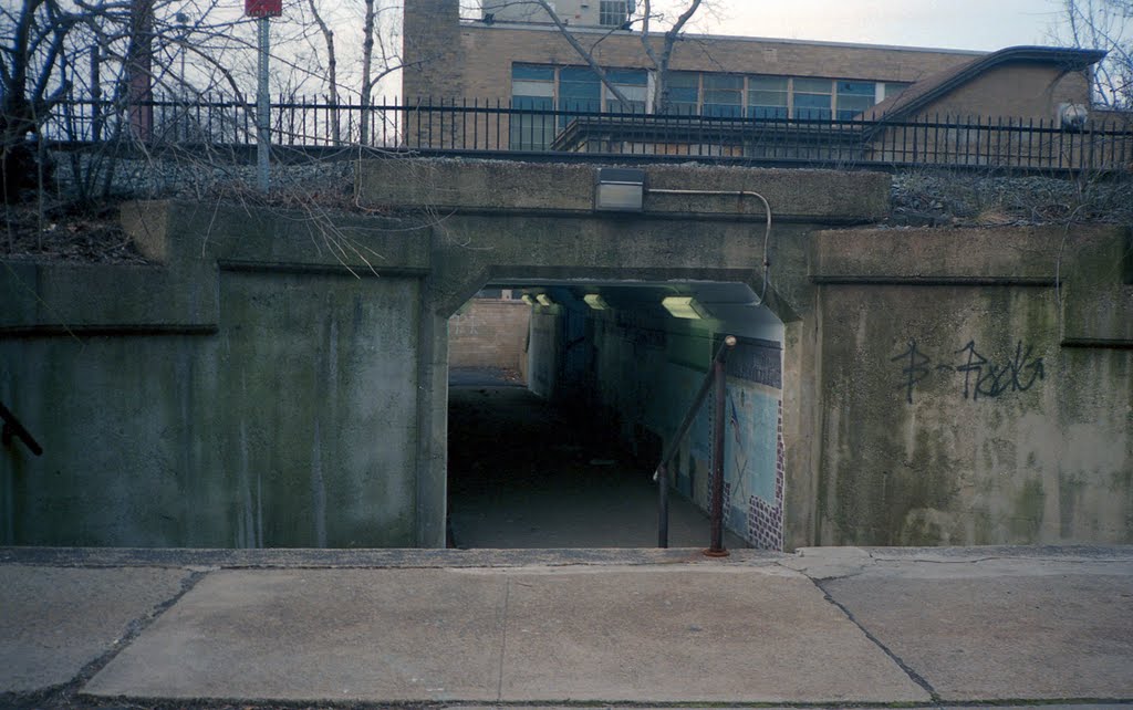 Maplewood Train Tunnel by © John Vann