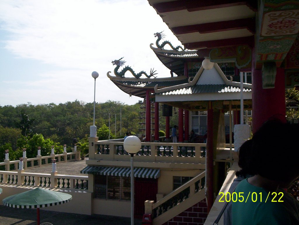 Couple of dragons, Taoist Temple. by c.s.