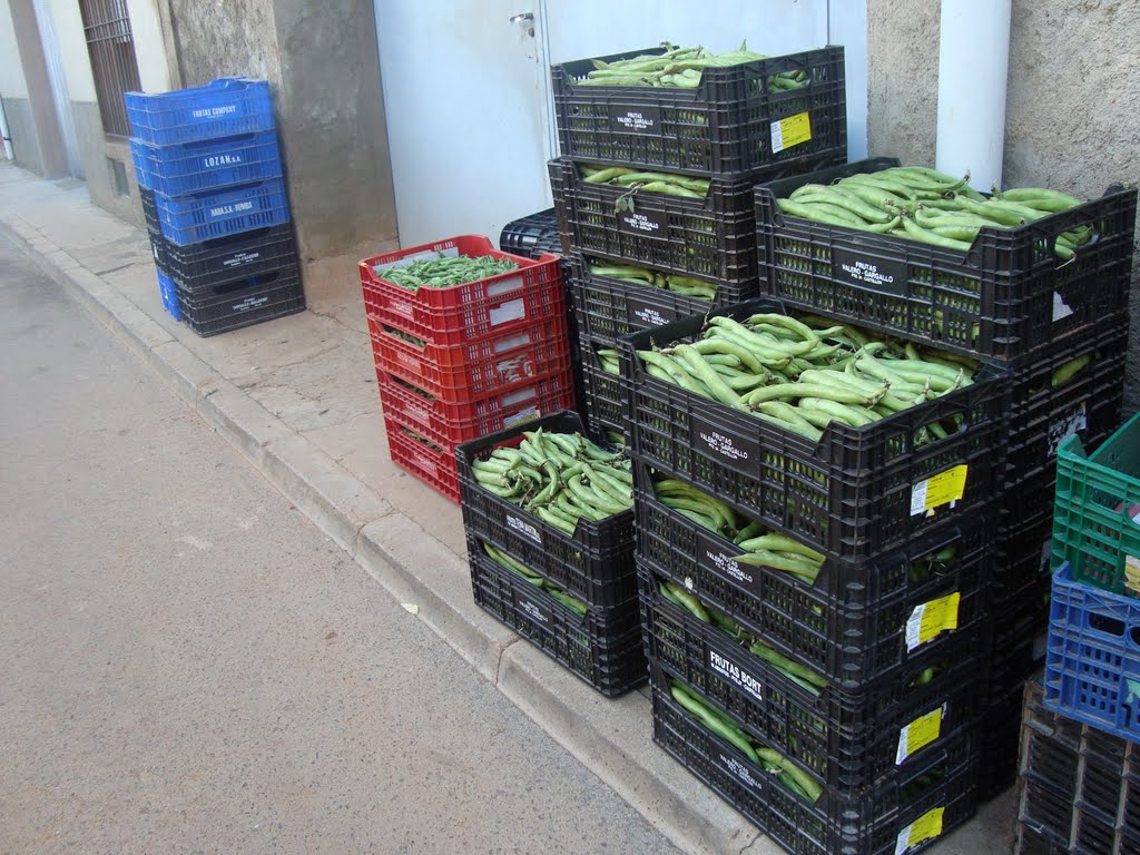 Habas de la huerta de Torreblanca, Castellón by Juan Emilio Prades Bel