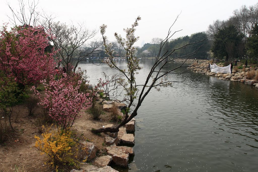 上海植物园 Shanghai Botanical Garden by cnopera.org