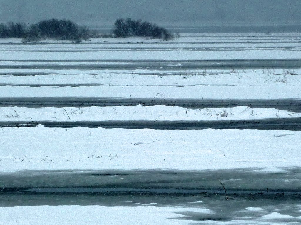 Ribbons of Snow & Ice on the Marsh by GWHoffman