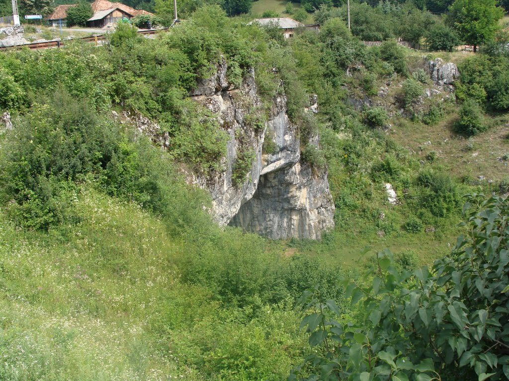 Natural Bridge Romania (unic in lume Trafic Bridge) "Podul lui Dumnezeu" by Stan Ionescu