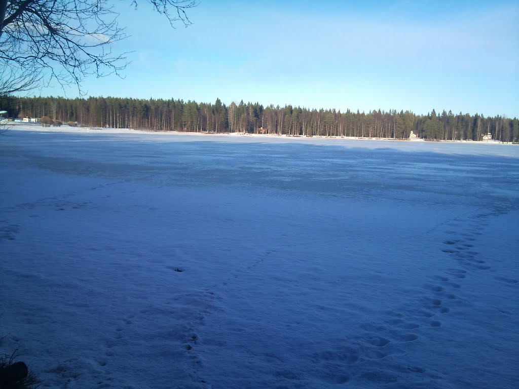 Nydala lake -Umea by Mutaz Khalieleh