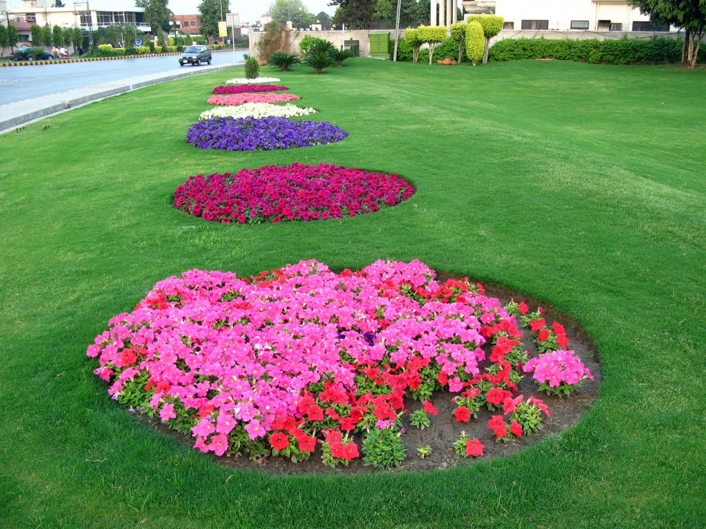 Gazi Chowk Green Belt by Waheed Ashraf