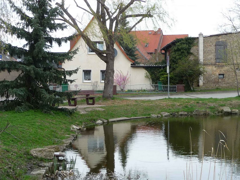 Dorfteich in Knapendorf by Natura