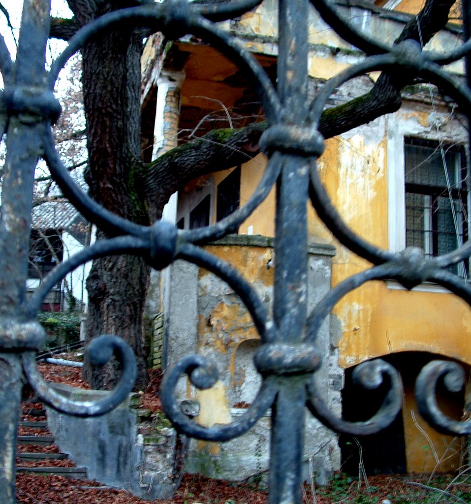 Szentendre, Hungary by proli