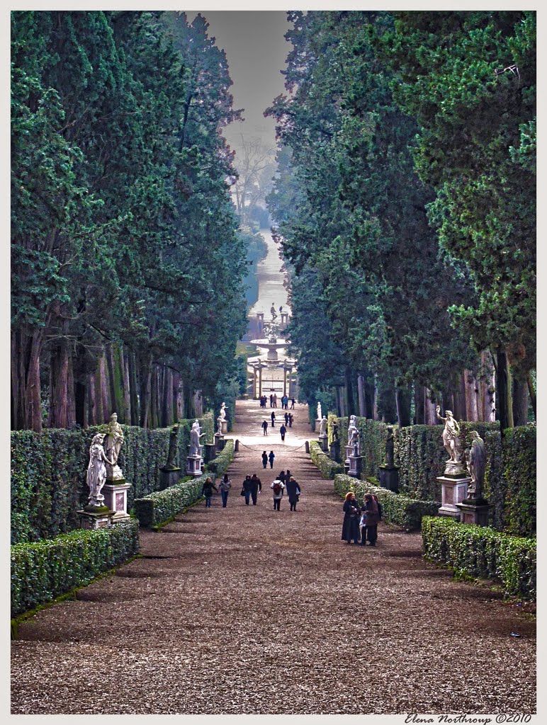 Boboli Gardens, Florence, Italy by Elena Omelchenko