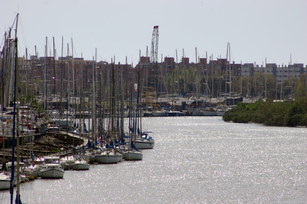 Ostia ed il Tevere, vicino la foce by Bepix (Giuseppe de Giacometti)