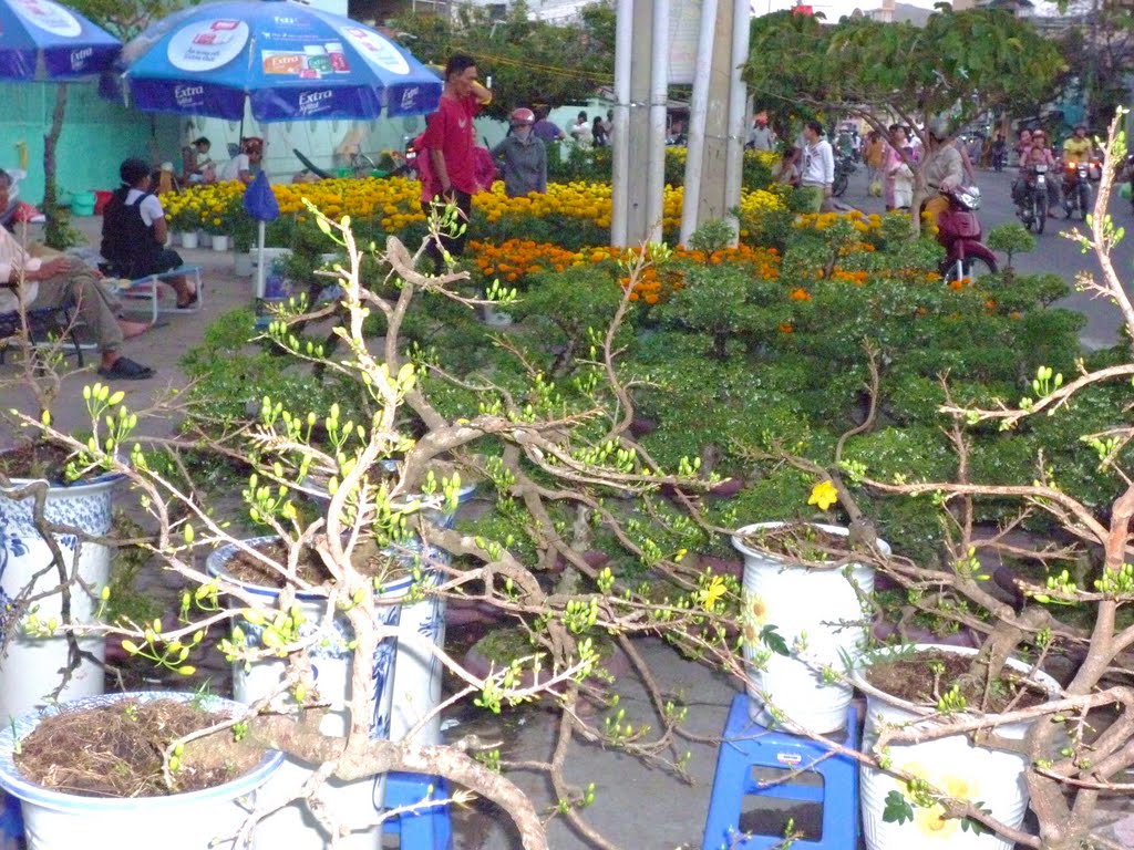 Tết-Market, 2011 by MichaelR