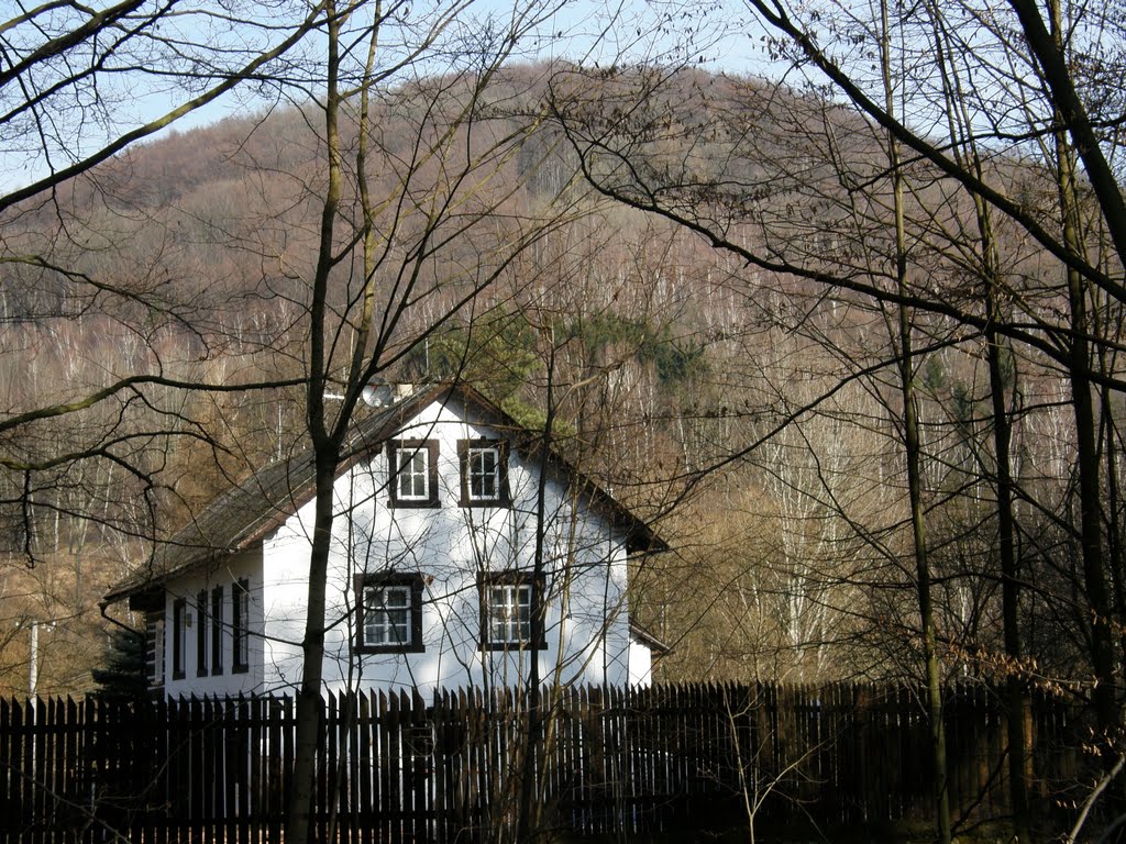 Dům v řeky (The house by a river) by Wilys (cz)