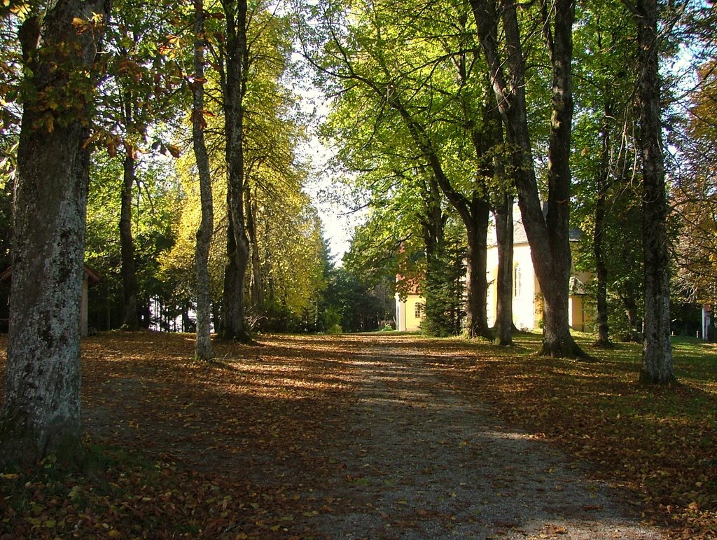 Gschnaidt Wallfahrtsort,Lindenallee by Richard Mayer