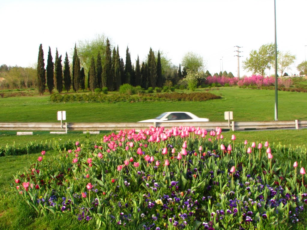 Tehran Highway Beauty at 2011 Spring by Behrooz Rezvani