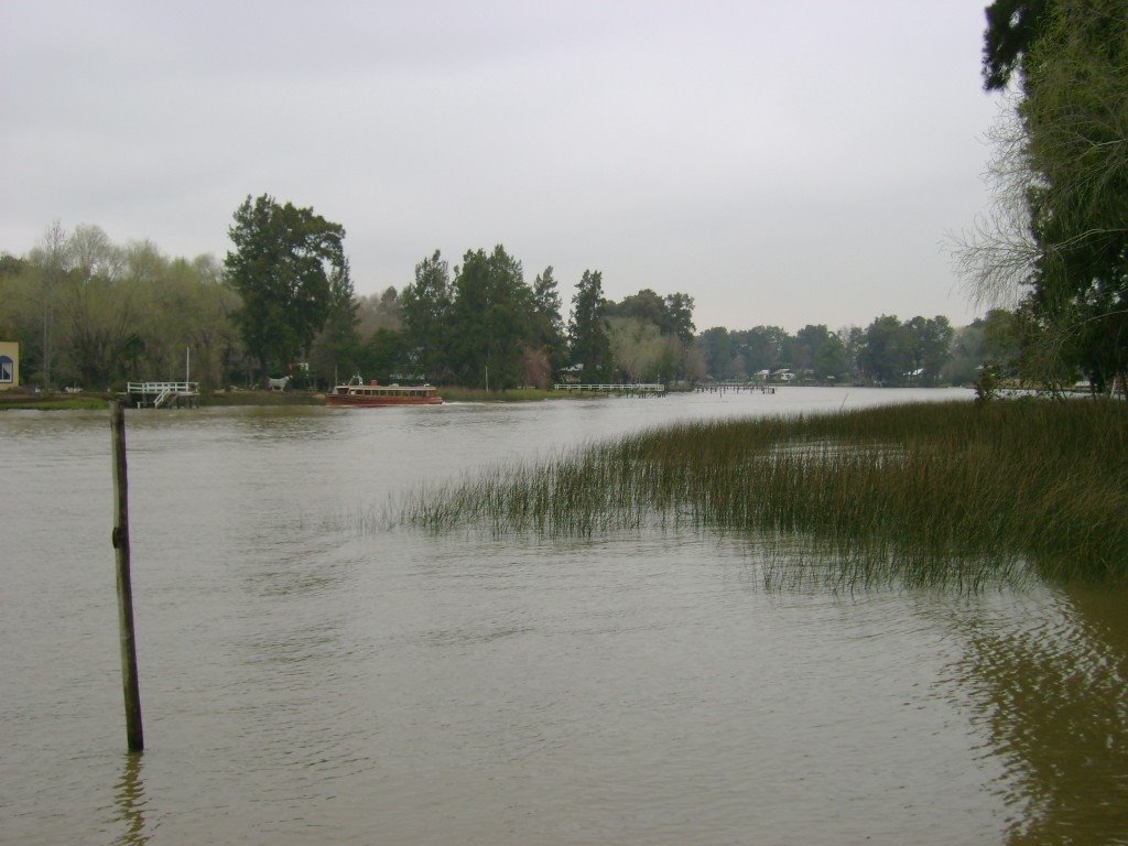 VISTA DESDE EL MUELLE by Maravillas del Delta