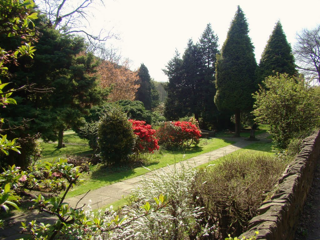 Beauchief Gardens springtime scene, Sheffield S7 by sixxsix