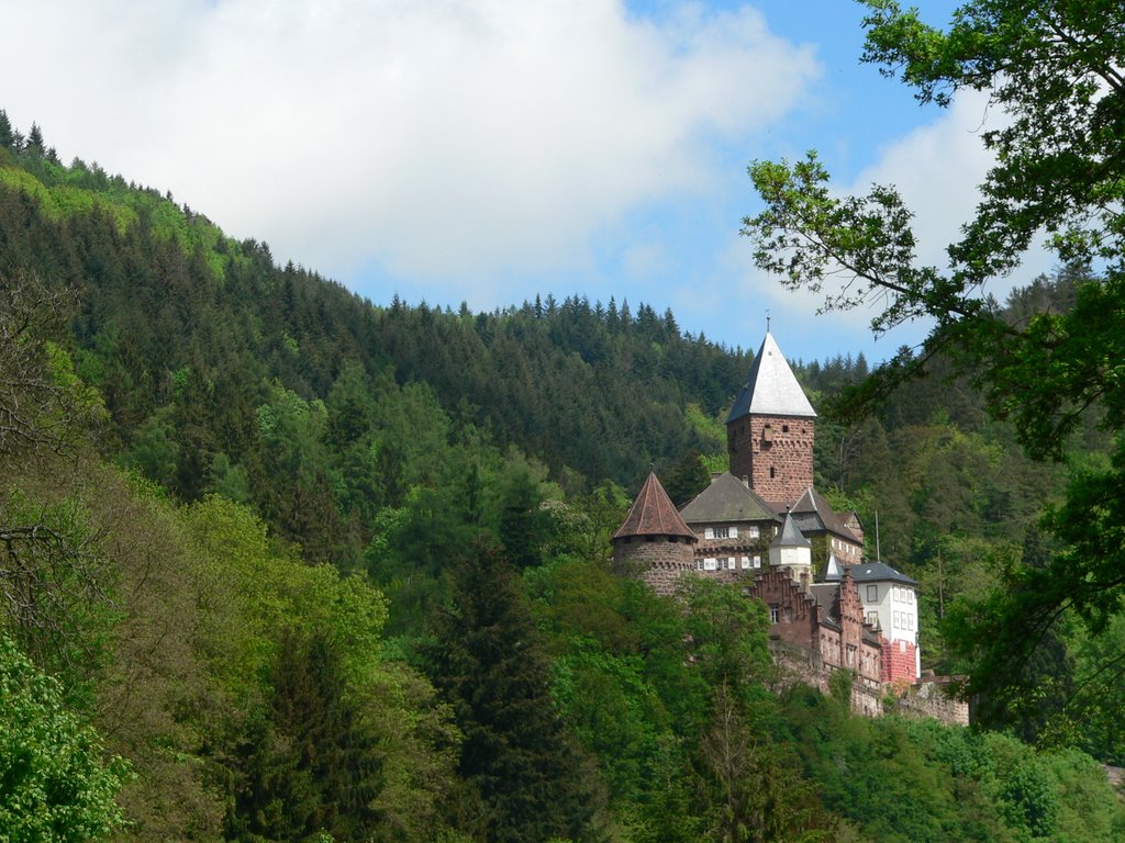 Wolfschlucht - Zwingenberg by RaSom