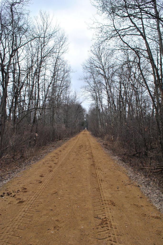 Wildwood Trail by Aaron Carlson