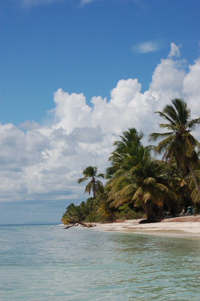 Isla saona por lurdes by lurdes.e