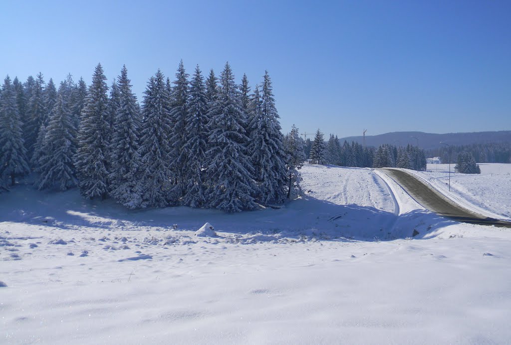 Poiana Brasov iarna by Annelise L  Floroian