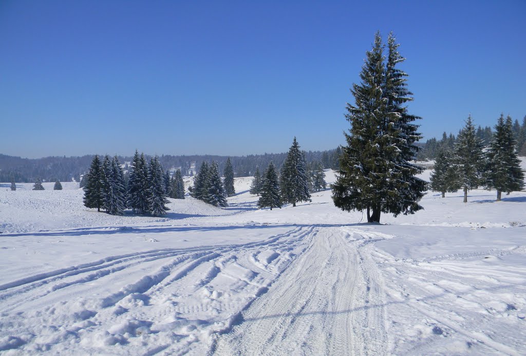 Poiana Brasov by Annelise L  Floroian